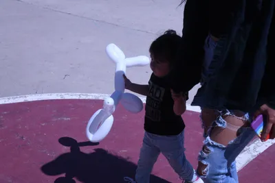 DSC_2079 (Large).JPG